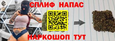 apvp Можга