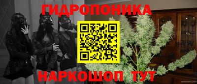 apvp Можга