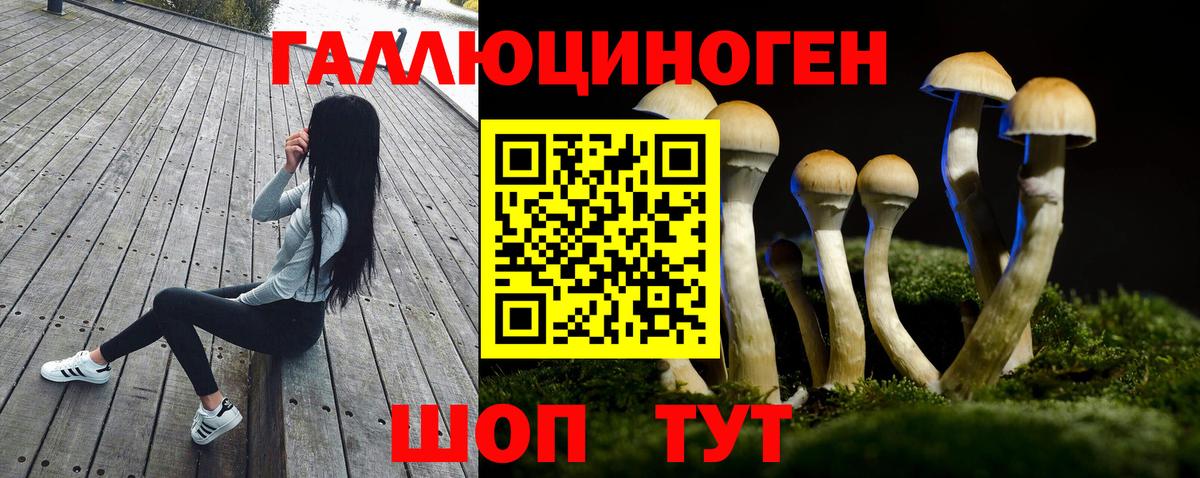 Псилоцибиновые грибы MAGIC MUSHROOMS  купить  цена  Щёлково  Вход с VPN 